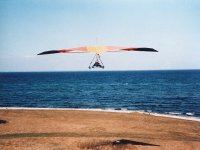Drachenfliegen auf Samsö 1984